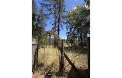 2260 Betts Road, Zenia, CA 95595