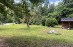 3297 Puncheon, Sitka, KY 41255