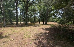 McBride Cemetery Road, Sardis, TN 38371