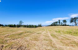 34082 Mt Tom Dr, Harrisburg, OR 97446