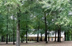 2179 County Road 33, OZARK, AL 36360