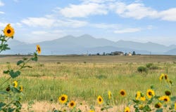 1 CR 19, Fort Collins, CO 80524
