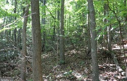 LOT 320 RIDGE RUN, CLAYSBURG, PA 16625