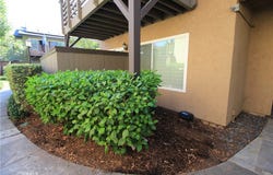 1480 W Lambert, La Habra, CA 90631