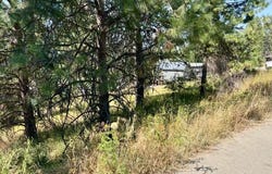 NKA Upper Drive lot: 9, Osburn, ID 83849