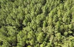 1 State Road 3205, Oberlin, LA 71463