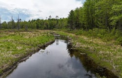 Stream Road lot: 5, Vienna, ME 04360