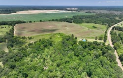 0080012 Old Lucile Rd, Blakely, GA 39823