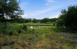 TBD Lot 4 Ranchero St, Bertram, TX 78605