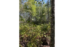 W HERZOG Road, IRON MOUNTAIN, MI 49801