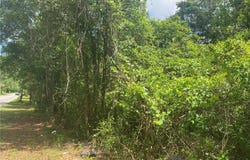 Bear Fork Road, Mobile, AL 36618