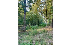 3400 Highway 62 W, Pocahontas, AR 72455