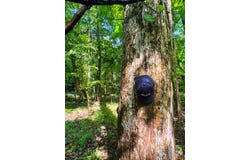 Highway 50, Dadeville, AL 36853