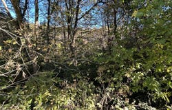 Deerfoot Lane, Greeneville, TN 37743