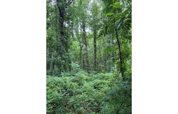 2990 Pendleton Road, Mineral, VA 23117