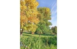 224 N MAIN St, Halfway, OR 97834