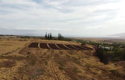 Omaopio Rd, Kula, HI 96790