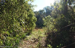 525 RAULERSON Road, Seville, FL 32190