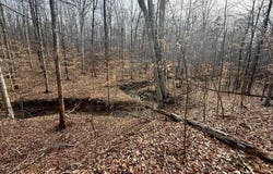 62 Willis Bluff LN, Cumberland, VA 23040