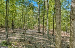 FARM VIEW Lane, ROMNEY, WV 26757