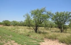 County Road 211, Brookesmith, TX 76827