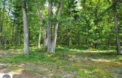 Turtle Lake Road, Prescott, MI 48756