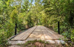 16590 E state Highway 21, Grapeland, TX 75844