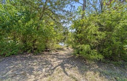 54 Lindal Cedar Lane, Branson, MO 65616