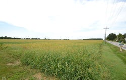 1334 S 350 E, Tipton, IN 46072