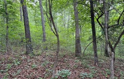NC 3920 Road, Marble Falls, AR 72648