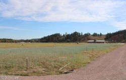 232 Red Devil Dr, Hulett, WY 82720