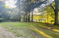 8910 Old Highway 61, Walls, MS 38680