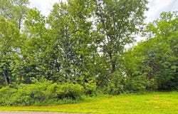 Hart Avenue NW, Annandale, MN 55302