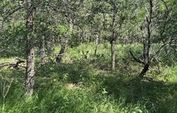 232 Mokulua Ln, Bastrop, TX 78602