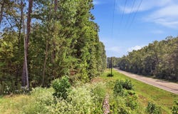 5015 Fm 49, Mineola, TX 75783