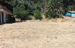 9440 E Highway 20, Glenhaven, CA 95443