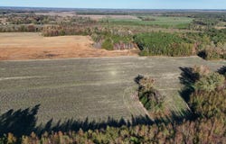 Bradley Road, Elliott, SC 29010