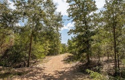TBD FM 180 Road, Ledbetter, TX 78946