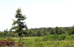 138 Little River 183, Ashdown, AR 71822