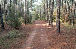 350 Williamson Way, Lovelady, TX 75851