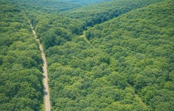 Olaton Road, Olation, KY 42361
