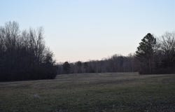 HWY 193 Rd, Williston, TN 38060