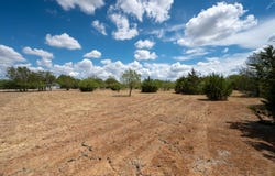 12002 Sunbonnet Cv, Austin, TX 78719