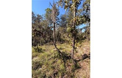 CYPRESS Street, INTERLACHEN, FL 32148