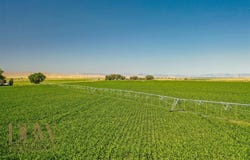 227 Lane 14, Powell, WY 82435