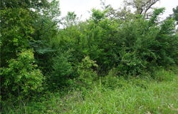 Creek Side Cir, Caldwell, TX 77836