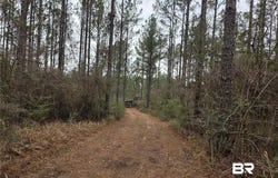 Chunchula Landfill Road, Chunchula, AL 36521