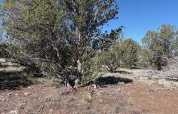 4176 N Double A Ranch Road, Williams, AZ 86046