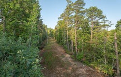 Anthony Road, Pickens, SC 29671