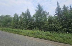 99999 Comet Rd, Embarrass, MN 55732